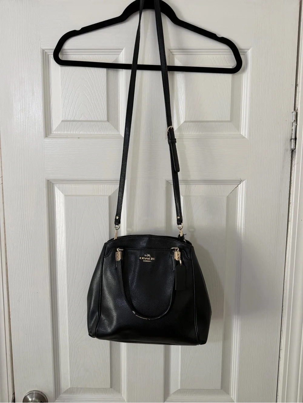 COACH Minetta Leather Crossbody Handbag F57847